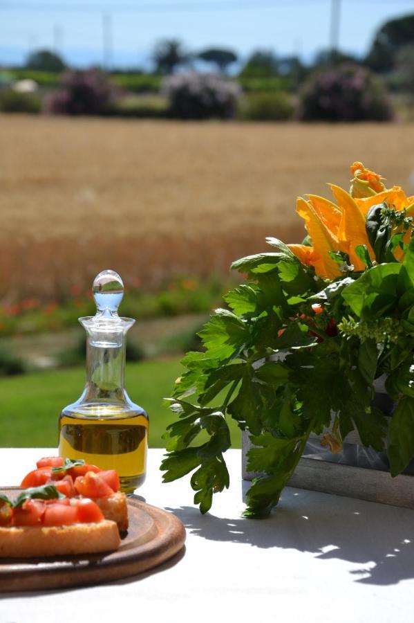 Agriturismo Il Vecchio Mandorlo Castiglione della Pescaia Exterior foto