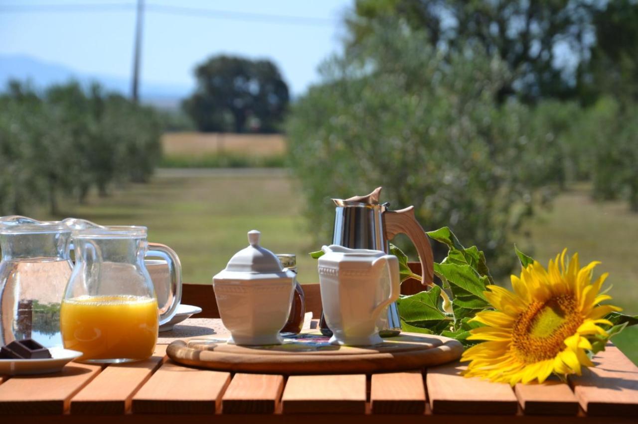 Agriturismo Il Vecchio Mandorlo Castiglione della Pescaia Exterior foto