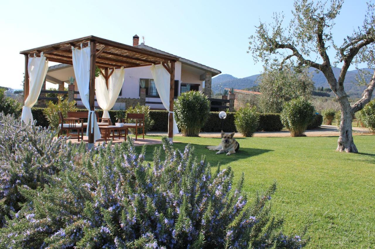 Agriturismo Il Vecchio Mandorlo Castiglione della Pescaia Exterior foto